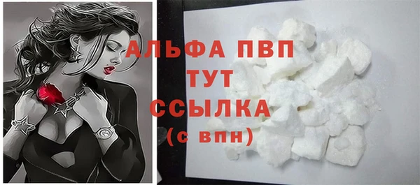 ПСИЛОЦИБИНОВЫЕ ГРИБЫ Богданович