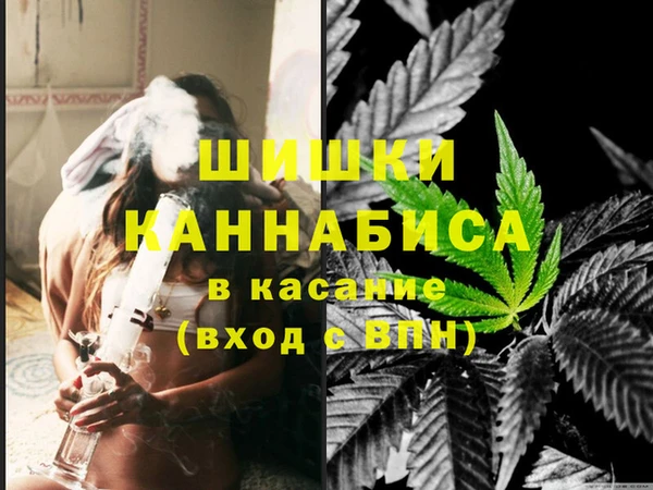 ПСИЛОЦИБИНОВЫЕ ГРИБЫ Богданович