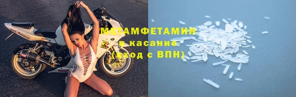 ПСИЛОЦИБИНОВЫЕ ГРИБЫ Богданович