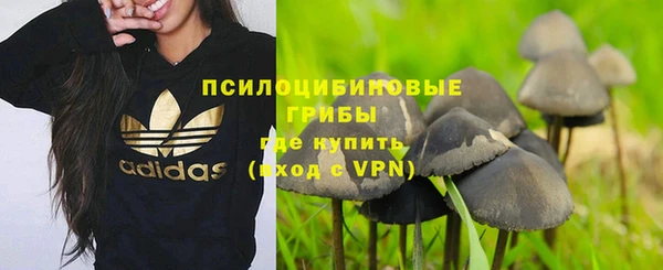 спиды Чита