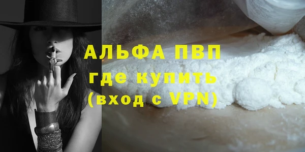 ПСИЛОЦИБИНОВЫЕ ГРИБЫ Богданович