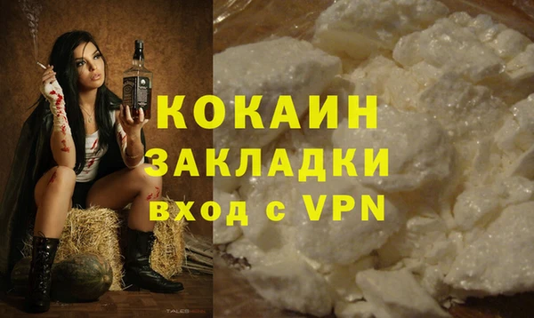mdpv Богородск