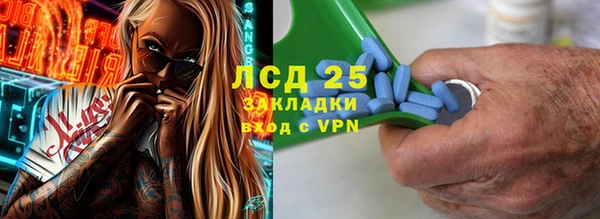 ПСИЛОЦИБИНОВЫЕ ГРИБЫ Богданович