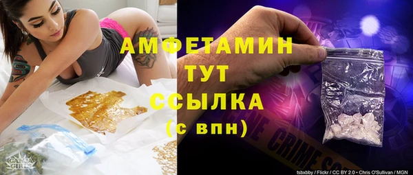ПСИЛОЦИБИНОВЫЕ ГРИБЫ Богданович
