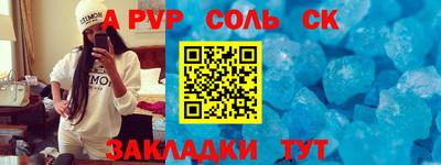 a pvp Новозыбков