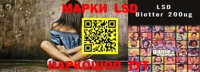 a pvp Новозыбков