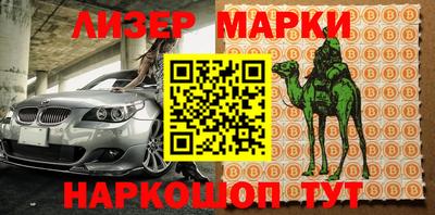 a pvp Новозыбков