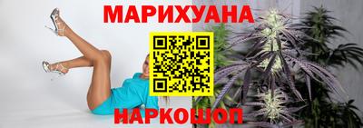 a pvp Новозыбков