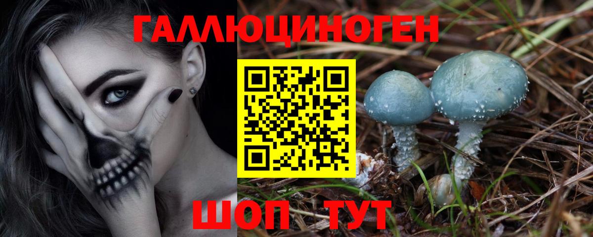 Борисоглебск  Псилоцибиновые грибы мухоморы  Псилоцибиновые грибы мухоморы  Вход с VPN 